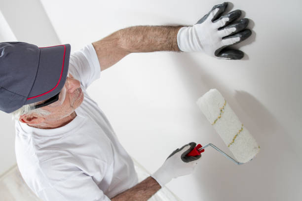  Catahou, LA Drywall & Painting Services Pros